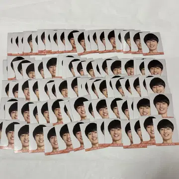 사쿠마 류토 데타카 묶음 판매