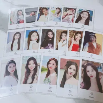 니지유 마야
