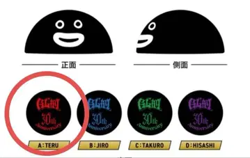GLAY 30th Anniversary ZURA 쿠션 TERU