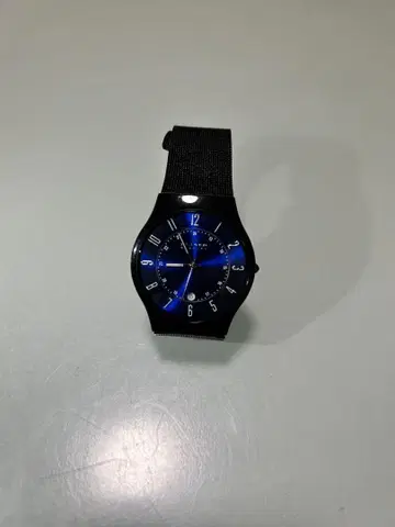 SKAGEN 스카겐 남성용 손목시계 Basic Titanium