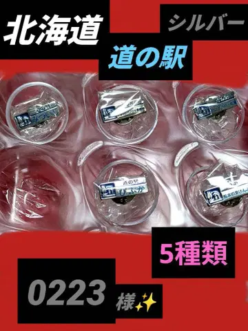 홋카이도 미치노에키 실버 핀즈 5종류