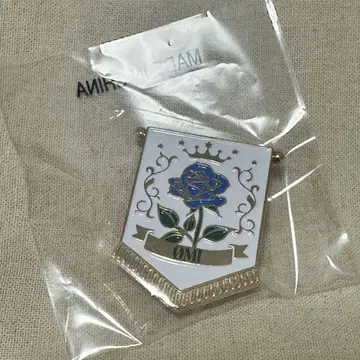 토사카 히로오미 메탈 핀 배지