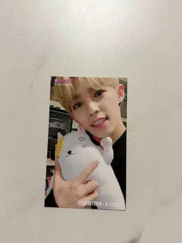 에스크푸스 봉제 인형 트레이딩 카드