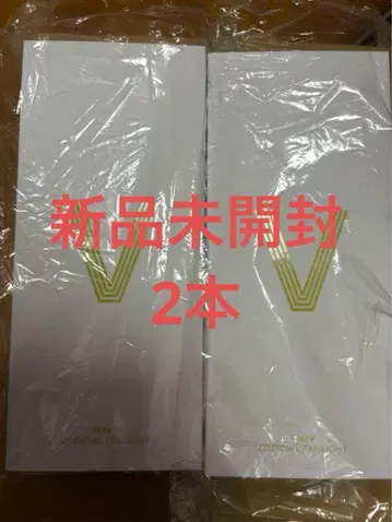 wayv 웨이션 V 응원봉 공식 2개