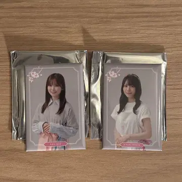 사쿠라자카 카페 (모리타 히카루, 엔도 리코 마그넷)