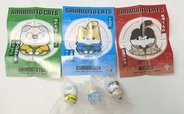 사카모토 데이즈 mega cat 나구모 사카모토 신