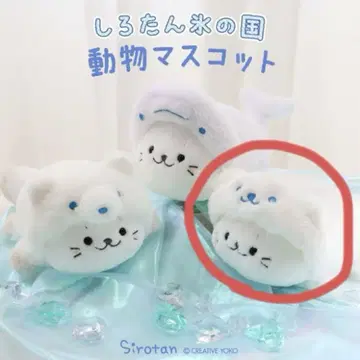 시로탄 마스코트 키링 북극곰 25주년