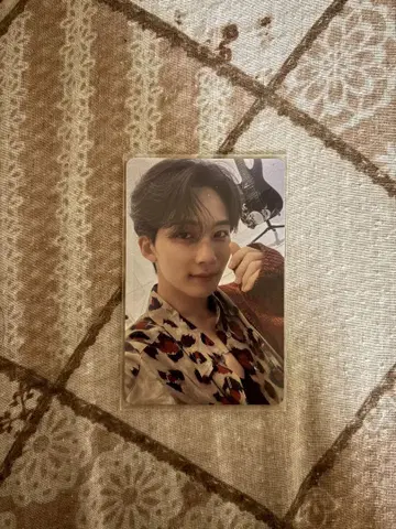 SEVENTEEN DREAM 정한 트레이딩 카드 D판