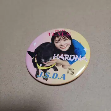 하라다 요난 자이언츠 비너스 2025 캔뱃지 보조견 콜라보 거인