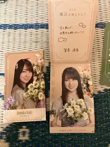 노기자카46 모바일 스티커 노기메쿠리 카키 하야카