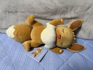 쫄깃쫄깃 봉제 인형 Pokemon Sleep 잘 자요 이브이