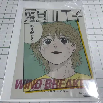 WIND BREAKER 최애와 사탕 혜택 브로마이드 토끼귀 산 정향