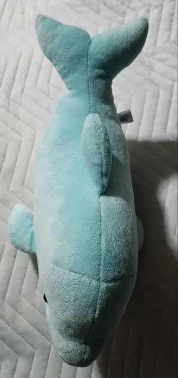 가모가와 씨월드 돌고래 복권 봉제 인형