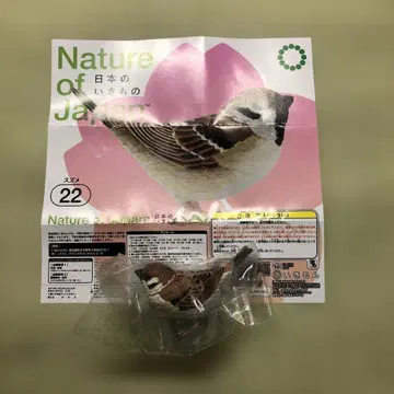 Nature of Japan 일본의 생물 03 참새