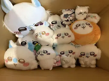 모몽가 프라이스 묶음 판매