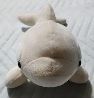 나고야항 수족관 오카미 복권 봉제 인형