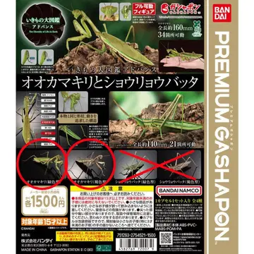 생물대도감 어드밴스 오오카마키리 그린 컬러와 브라운 컬러 세트