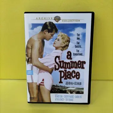 피서지의 사건 렌탈 DVD