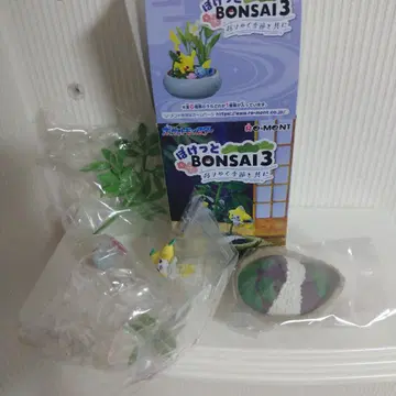 익명 배송 포켓몬 포켓토 BONSAI 변해가는 계절과 함께 지라치