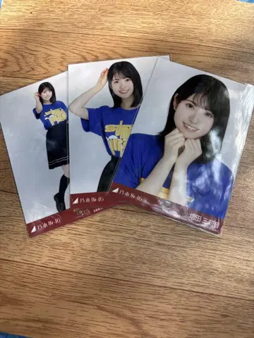 노기자카46 브로마이드 홋카이도 라이브 T 마스다 미토네 컴프