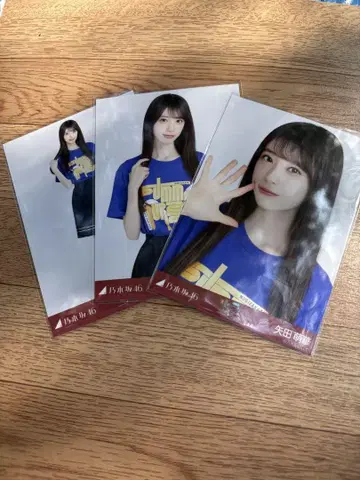 노기자카46 브로마이드 홋카이도 라이브 T 야다 모에카 컴프