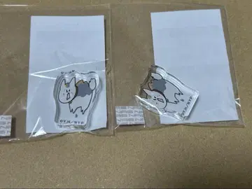 나츠메 우인장 나츠메 유루토치 냥코 선생님