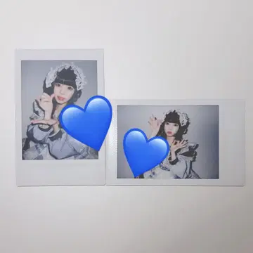 iLife 스카시 카렌 폴라로이드 화이트데이