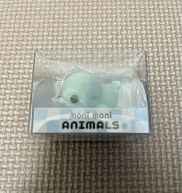 모니마루즈 모니 모니 동물들 물개