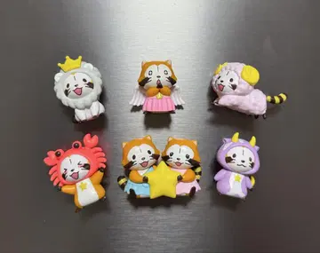 코코스 라스칼 마그넷 별자리 컴플리트