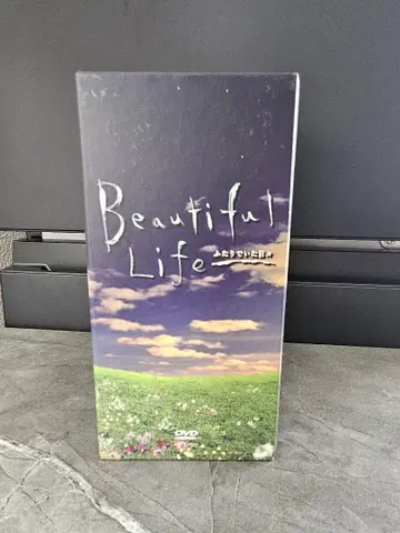 Beautiful Life DVDbox 전 6권