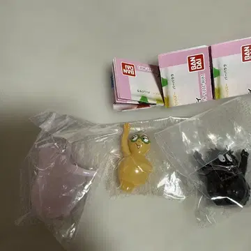 바바파파 나란히 있습니다. 바바파파 바바모자 바바리브