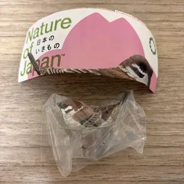 Nature of japan 네이처 테크니컬러 일본의 생물 참새