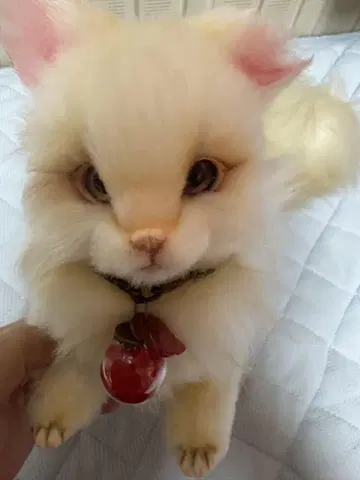 아트 인형 가루무 작가님