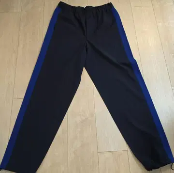 ISSEY MIYAKE 아이엠멘 바이컬러 팬츠