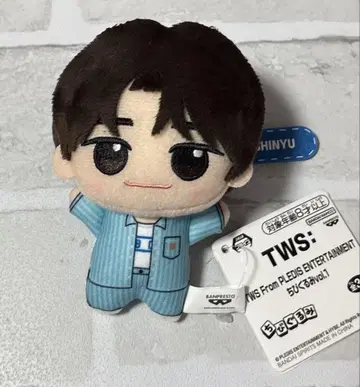 TWS SD 인형 SHINYU (시뉴) SHINYU 시뉴 신유 TWS