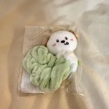 RIIZE 앤톤 스크런치
