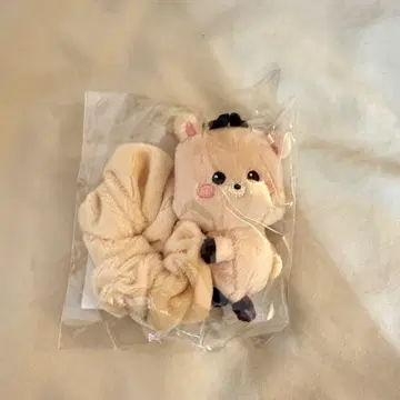 RIIZE 성찬 스크런치