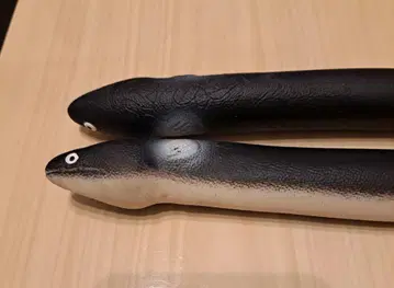 장어 스퀴즈