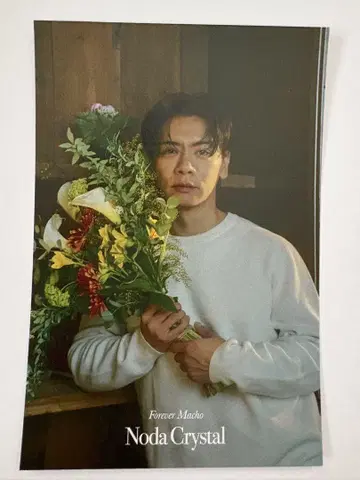 크리스탈 헬스장 일력 달력 특전 엽서 노다 크리스탈