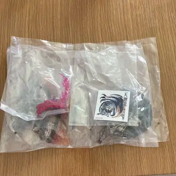 겟이 극복 샤가루마가라