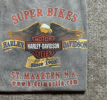 할리데이비슨 HARLEY DAVIDSON 티셔츠 스컬 L 사이즈