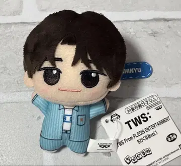 TWS SD 인형 SHINYU (시뉴) SHINYU 시뉴 신유 TWS