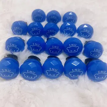 아오키 바나 노래 가수 단독 라이브 BLUE INU 반지 라이트