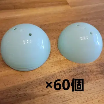 빈 캡슐 60개