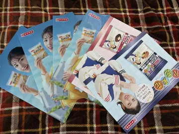 코시바 후카 클리어 파일 4장 A4 POP 2장 세트