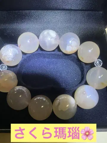사쿠라 마노