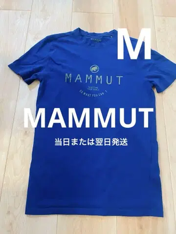MAMMUT 파랑 티셔츠 S