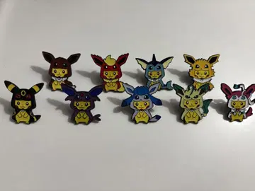 판초 피카츄 부이즈 배지 세트