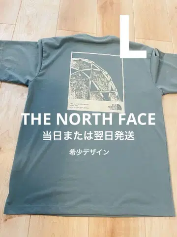 THE NORTH FACE 그레이 티셔츠 백 프린트
