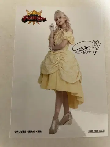 왕의 전대 킹오거 히메노 브로마이드 구매 혜택